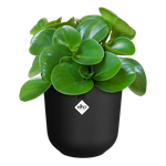 jazz rund 19cm living schwarz